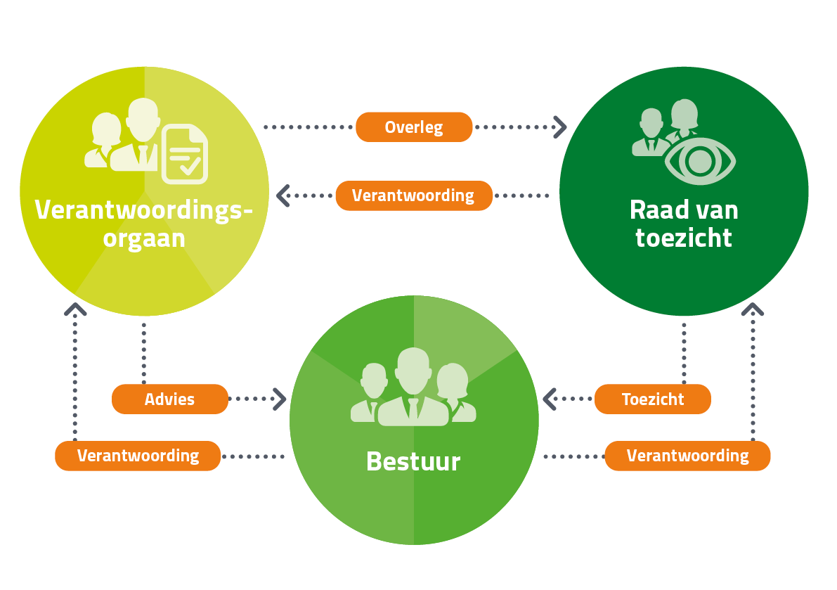 Afbeelding verhouding binnen organisatie BPL