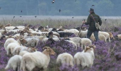 afbeelding tegel duurzaam beleggen